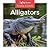 Alligators