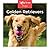 Golden Retrievers
