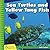 Sea Turtles and Yellow Tang...