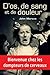 D'Os, de Sang Et de Douleur (Commissaire Delajoie #3)