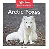 Arctic Foxes by Leo Statts