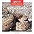 Rattlesnakes