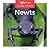 Newts