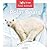 Polar Bears