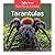 Tarantulas
