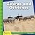 Zebras and Ostriches (21st Century Junior Library: Better Together)
