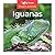 Iguanas