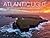 Atlantic Light