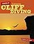 Extreme Cliff Diving (Nailed It!)