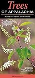 Trees of Appalachia a Guide to Common Native Species