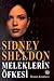 Meleklerin Öfkesi by Sidney Sheldon