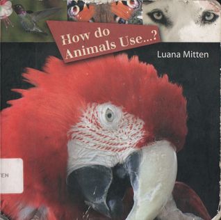 How Do Animals Use...? (Rourke Board Books)