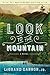 Look to the Mountain: A Novel