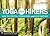 Yoga for Hikers by Nicole Tsong