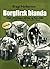 Borgfirzk blanda: Sögur af kynlegum körlum og fleira fólki (Icelandic Edition)