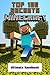 Minecraft by Mike Kid