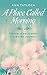A Place Called Morning by Ann Tatlock