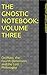 The Gnostic Notebook: Volume Three: On Plato, the Fourth Dimension, and the Lost Philosophy