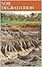 Soil Degradation