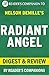 Radiant Angel: By Nelson DeMille | Digest & Review
