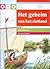 Het geheim van het rietland