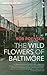 The Wildflowers of Baltimore