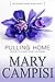 Pulling Home (That Second Chance, #1)