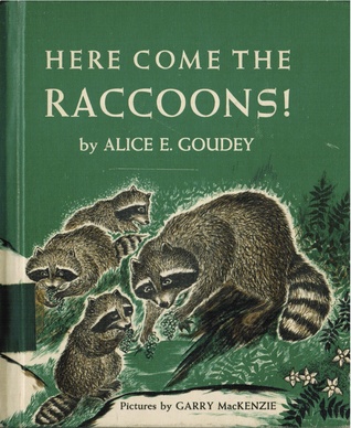 Here Come the Raccoons!