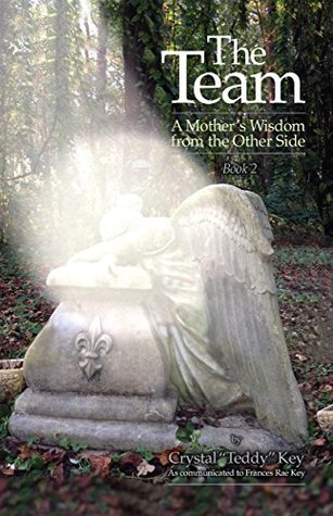 The Team: A Mother's Wisdom from the Other Side, Book 2 (The Team Books 3)