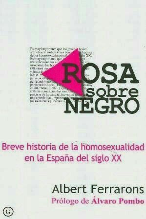Rosa sobre negro: Breve historia de la homosexualidad en la España del siglo XX (Paperback)