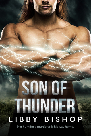 Son of Thunder (ebook)