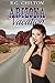 Arizona Vacation by R.G. Chilton