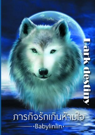 Dark destiny ภารกิจรักเกินห้ามใจ