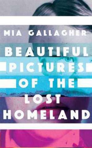 Beautiful Pictures of the Lost Homeland (Paperback)