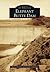 Elephant Butte Dam (Images of America: New Mexico)