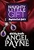 Naughty Little Gift by Angel Payne Naughty Little Gift by Angel Payne