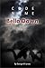 Code Name Bella Dawn (Secret Warfare & Counter-terrorism Operations Book 19)