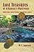 Lost Treasures of Arkansas's Waterways: Hidden Mines, Buried Fortunes, and Civil War Artifacts