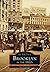 Brooklyn in the 1920s (Images of America: New York)