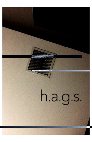 H.A.G.S. (Micro-Chapbook)