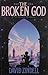 The Broken God (A Requiem for Homo Sapiens, #1)
