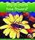 Why Do Plants Have Flowers? (Young Explorer: World of Plants) (Young Explorer: World of Plants)