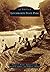 Letchworth State Park by Thomas A. Breslin