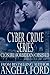 Cyber Crime Series: Closure...