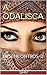 A ODALISCA: BASHIR EM DESENCONTROS -2 (Portuguese Edition)
