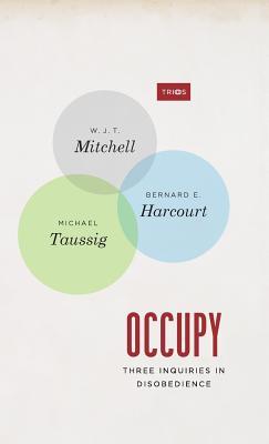 Occupy: Three Inquiries in Disobedience