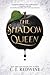 The Shadow Queen (Ravenspire, #1)