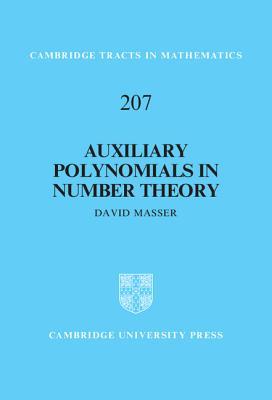 Auxiliary Polynomials in Number Theory (Cambridge Tracts in Mathematics, Series Number 207)