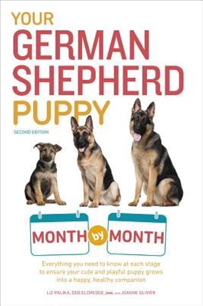 Your German Shepherd Puppy Month By Month