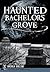 Haunted Bachelors Grove (Haunted America)
